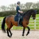 LeMieux Suede Dressage Square